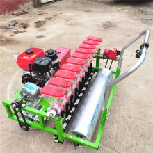 Ӧʽ߲˲ֻ 㾫 ҩĹֲ