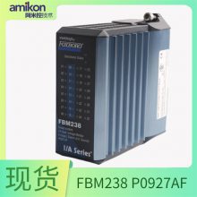 CP60 P0961FR 控制处理器模块