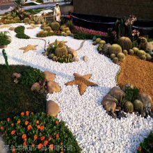 ԰�հ�ɫʯ�� �������� ������ƺװ�� �������� ��ɫ�ɻ��