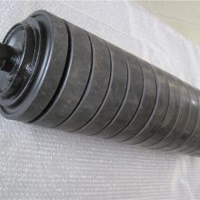 ֱй ʽй194*800mm۸