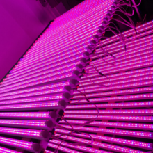LED·_LEDƹܳ_ֲﲹƳ