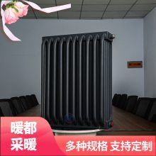 ů ÷仡ܲůƬ ƻȡůƬYGH-V-1600