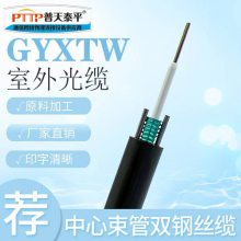 PTTP普天泰平 GYXTW中心束管式铠装光缆 4/6/8/12芯光纤架空/穿管/地埋