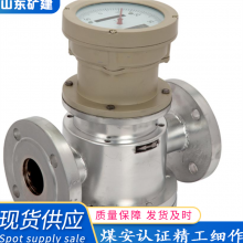 厂家流量仪器 圆齿轮流量计柴油流量器高精度微小齿轮流量变送器