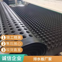 黑色PE塑料绿化蓄排水板虹吸材料凹凸过滤复合排水板