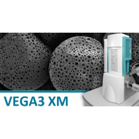 ݿTESCAN ?ٵ˿ɨ羵VEGA3 LMȫԶٵ˿ɨ΢