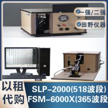 FSM-6000+SLP-2000Ӧǣɳֻ
