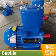 三相电动机YE2/YE3/Y2/Y200L2--6 22KW卧式立式高效电机380V