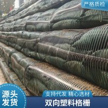 黑色聚丙烯PP土工格栅工程道路基加筋固护坡挡土双向塑料格栅