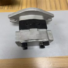 SGP1 SGP2ϵҺѹֱ 泵SGP1-36ѹҺѹ SGP2ѹͱ