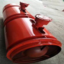 金煤 FBD№5.0/2×5.5矿用隔爆型 压入式对旋轴流局部通风机