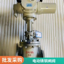 ֵõ綯բ Z941H-100C-DN50  ͸ѹ һ廯