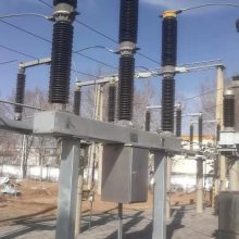 110kV·LW36-126W/2000A-40kA ѹSF6