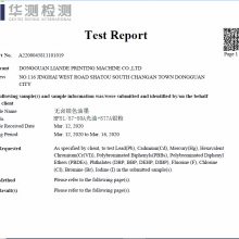Test Report