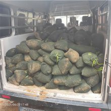 湖北防汛沙袋厂家 帆布沙袋质量好
