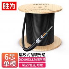胜为GYTA53室外6芯单模光缆层绞式 架空/管道/地埋光纤线2000米
