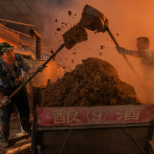 白酒生意市场怎么样纯粮食白酒没有勾兑的酒