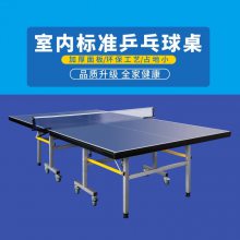 洛阳 标准乒乓球台 防水防晒家用折叠乒乓球桌 小彩虹