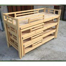 �׶��Ҿ���������ѧУ���а��ͯ�����̵���ľ�ʴ�