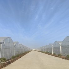 日光温室与大棚的区别