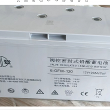 ˫ ܷʽǦά 6-GFM-120C20