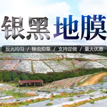 供应银黑地膜 农用园林白色地膜塑料薄膜黑色地膜育苗种植防草