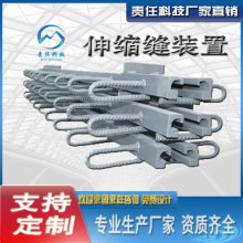 桥梁建筑伸缩缝 变形缝伸缩装置 防水伸缩安装更换 可定制
