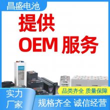 昌盛 6-GFM-120 太阳能 风能发电系统 OEM ODM EPS应急蓄电池