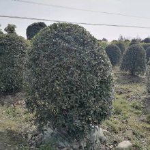 ڷ3׹۸ ¹γ 