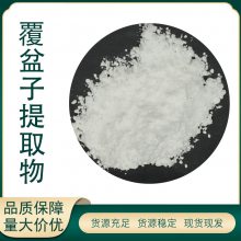 覆盆子提取物 覆盆子酮98% 果粉果蔬粉 多糖 浸膏