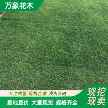 ����ľ��Ľ���ƺ��Ƥ�����̻��ͼ�̤��Ƥ�����̻�