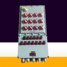  BXM51-12K ʽ Ż