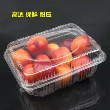 װ500˲ݮϰװ һ͸ˮгֻ