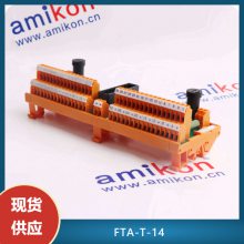 ģƹϰȫģFTA-T-14ESD-PLCϵͳ16ͨ