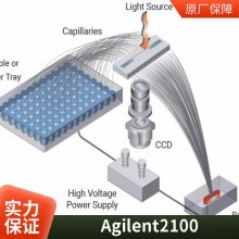 Agilent ZAG DNA ϵͳ2100ܴ