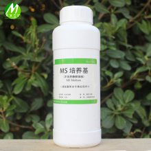 MS干粉培养基 不含琼脂和蔗糖 植物组培药品耗材铁皮石斛组培适用