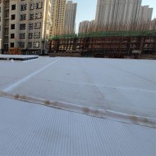 济南排水板 高密度聚乙烯排水板--运帷虹吸排水系统