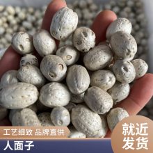 南酸枣中药材 籽类 矿石 叶类 全草三千多种药材出售 批发零售五眼果