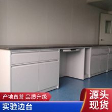 山东德州 全钢实验室工作台试剂架试验边台通风柜中央台钢制水槽实验台