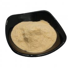 â ʹ֭ 決͹ ֻ 1kg