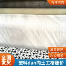 HDPE单向拉伸塑料土工格栅 路基挡土墙加固用 世杰 PP单向格栅
