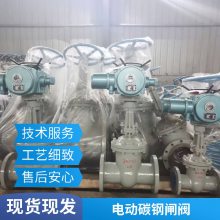 ɭ ֵ綯բ Z941H-10Pֵ綯բdn900
