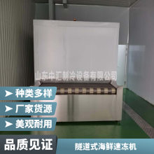 304/201不锈钢 冷冻食品厂设备 隧道式自动食品速冻机 YT430