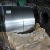SECC-N5пָ1.2mm*1250mmֻ
