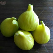 ޻硢ɫ޻硢ɫ޻