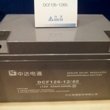 дͨ12V100AH DCF126-12/100