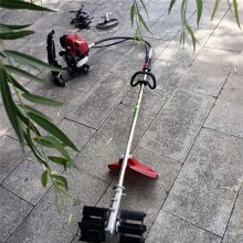 ԰Сͳݻ ȥݸĳݻ Сͳػ