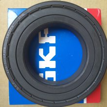 SKF֬LGFP2/1,ԭװ***ʻԴ