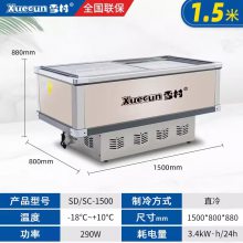 雪村商用展示柜 超市蔬菜保鲜柜 商场大容量冷冻冷藏柜 卧式冷柜出售