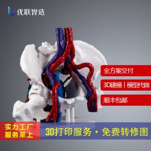 3Dӡģ ɶ3Dӡ ҽƽģ